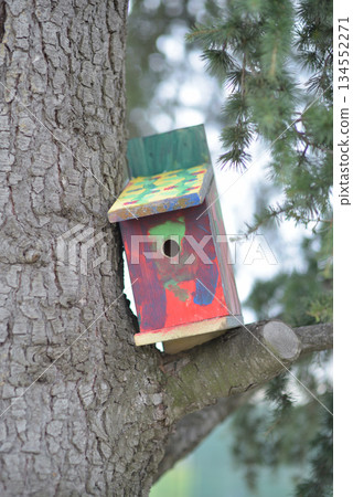 Colorful Birdhouse on Tree Trunk 134552271
