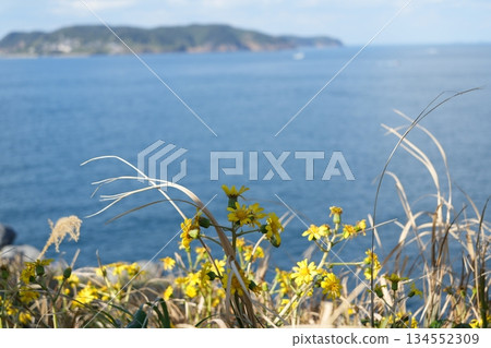 佐賀七釜 134552309