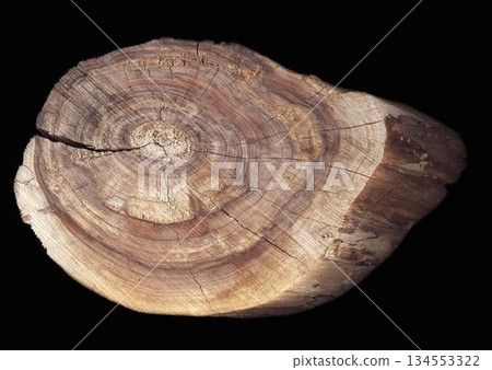 Cut of a tree on a black background 134553322