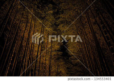 Bamboo forest in Arashiyama 134553401