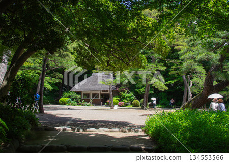 小石川後樂園，一座涼亭被綠植環繞，遊客撐著陽傘悠閒漫步。初夏時節，日式庭園中一片寧靜祥和。 134553566