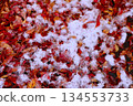 Fallen leaves and snow 134553733