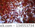 Fallen leaves and snow 134553734