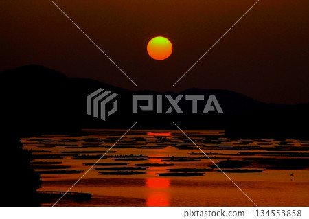 昆蟲的早晨太陽 昆蟲的早晨太陽 134553858