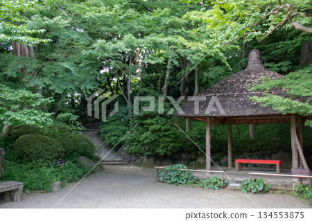 小石川後樂園的涼亭和綠蔭小徑,初夏時節,一個靜謐祥和的日式庭園 小石川後樂園的涼亭和綠蔭小徑,初夏時節,一個靜謐祥和的日式庭園 134553875
