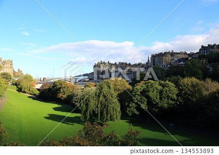 Princes Street Garden (Edinburgh) 134553893
