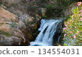 Serene waterfall cascading over rocks surrounded by vibrant flowers and lush greenery, creating a tranquil natural landscape with soothing water sounds 134554031
