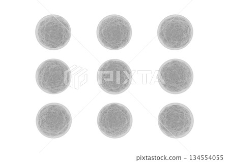 球菌影像 134554055