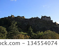 Edinburgh Castle 134554074