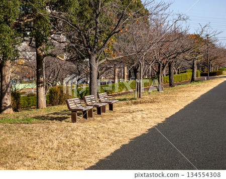 公園裡有隔間的長凳 公園裡有隔間的長凳 134554308
