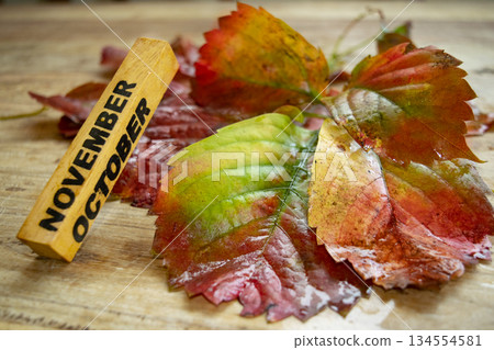 olive oil bottles olive oil bottles 134554581