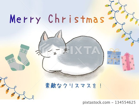 可愛的貓咪聖誕卡 134554625
