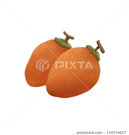 簡單的柿子乾圖示 134554627