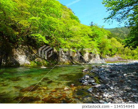 Standing in a valley of fresh greenery - Maze River in May, a quiet moment for anglers 134554945