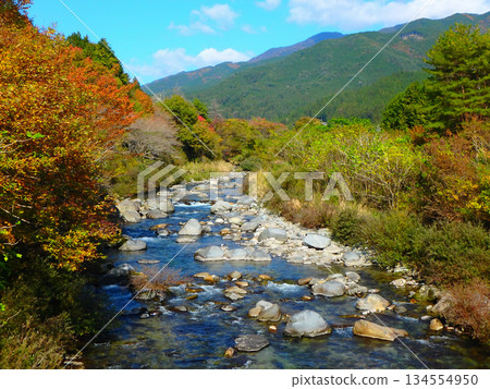 A journey through the autumn foliage of the Kashimo River in late autumn 134554950