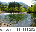 五月，被山谷裡鬱鬱蔥蔥的景色所吸引，在吉田川體驗溪釣。 134555262