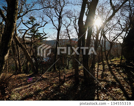 深秋的霧島 深秋的霧島 134555319