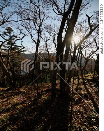 深秋的霧島 深秋的霧島 134555320