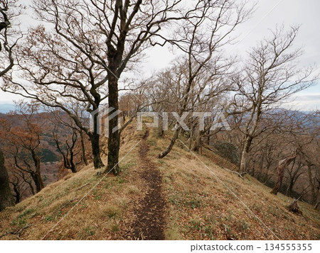 Mt. Sobo Mt. Sobo 134555355