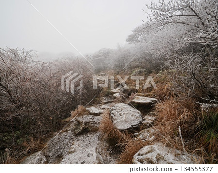 Rime-covered Kuju Mountains 134555377