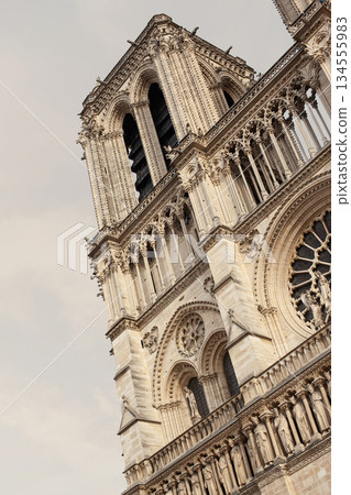 The renovated cathedral is a famous place in Paris 134555983