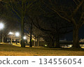 Bare trees and avenues in a park at night lit by streetlights 134556054