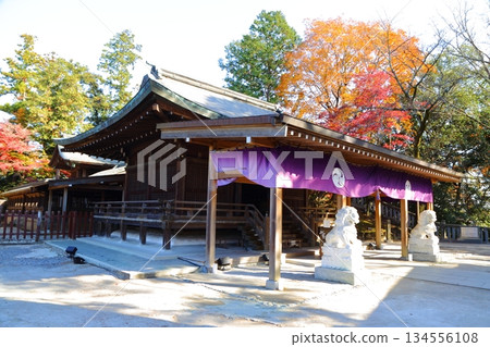 Karasawayama Castle ruins surrounded by autumn leaves Karasawayama Castle ruins surrounded by autumn leaves 134556108
