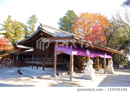 Karasawayama Castle ruins surrounded by autumn leaves Karasawayama Castle ruins surrounded by autumn leaves 134556109