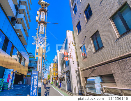 Tokyo cityscape in Japan: A town where tradition and modernity intersect... A town filled with emotion. Kagurazaka is full of emotion. View of Kagurazaka Nakadori and other areas. Tokyo cityscape in Japan: A town where tradition and modernity intersect... A town filled with emotion. Kagurazaka is full of emotion. View of Kagurazaka Nakadori and other areas. 134556146
