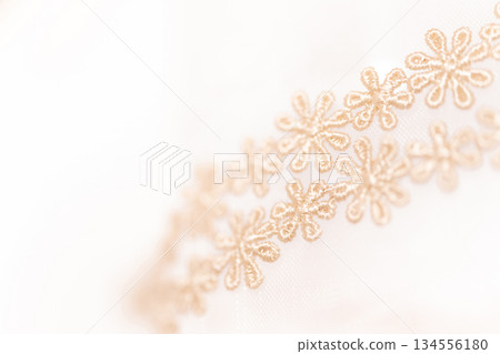 蕾絲花背景材料 蕾絲花背景材料 134556180