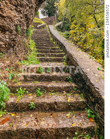 weathered steps wind through lush landscape, serene path of mosscovered stones amid autumn leaves 134556572
