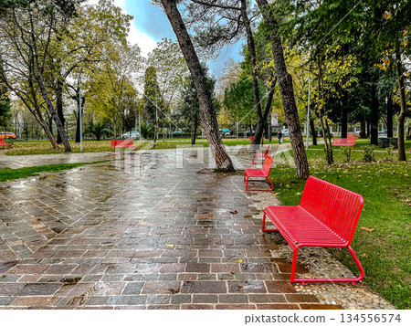 Reflective path lined with vivid trees and damp pavement awaiting visitors Reflective path lined with vivid trees and damp pavement awaiting visitors 134556574