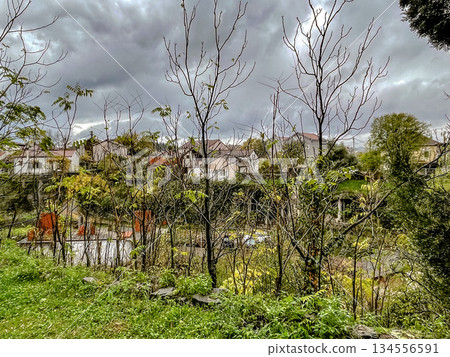 gloomy riverbank with bare trees, somber riverside view featuring dormant trees and muted reflections 134556591