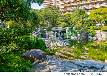 Pond in Japanese garden , in monaco (Monte Carlo) at summer Pond in Japanese garden , in monaco (Monte Carlo) at summer 134556676