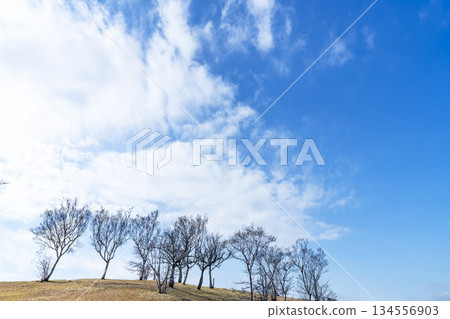 冬日的天空、雲彩和草地 134556903