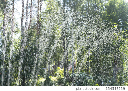 Garden irrigation system lawn. Automatic lawn sprinkler watering green grass with water drops. Lawn sprinkler spills water over green grass. Garden irrigation system lawn. Automatic lawn sprinkler watering green grass with water drops. Lawn sprinkler spills water over green grass. 134557239