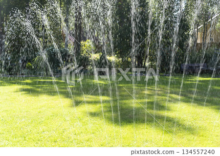Garden irrigation system lawn. Automatic lawn sprinkler watering green grass with water drops. Lawn sprinkler spills water over green grass. 134557240