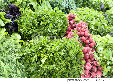 Vegetable set on the market counter. Green onions, red radishes, lettuce, curly parsley, purple Basil, fresh sorrel, beet tops and other spices Vegetable set on the market counter. Green onions, red radishes, lettuce, curly parsley, purple Basil, fresh sorrel, beet tops and other spices 134557307