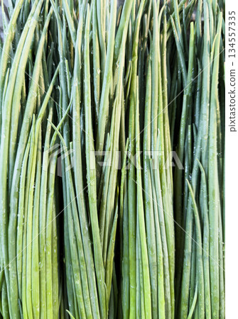 Pack of fresh spring onions background texture. Fresh Green onion pattern. Bunch green onion. 134557335