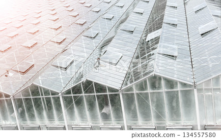 Aerial view industrial agricultural greenhouses for growing. Greenhouse industrial exterio. Food farming industry with giant buildings. Drone view on industrial modern glasshouse. Aerial view industrial agricultural greenhouses for growing. Greenhouse industrial exterio. Food farming industry with giant buildings. Drone view on industrial modern glasshouse. 134557580