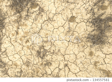 Dry cracked earth texture background. Clayey land dried out by drought. Cracked earth background. Global warming effect. Dry cracked earth texture background. Clayey land dried out by drought. Cracked earth background. Global warming effect. 134557581