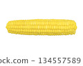 Cob of ripe sweet corn isolated on white background. Sweet boiled corn cob isolated on white background. Fresh yellow corn 134557589
