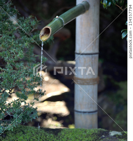 Bamboo Water Spout in Tranquil Garden Bamboo Water Spout in Tranquil Garden 134557794