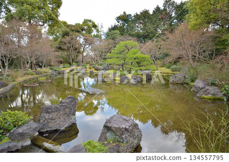 Serene Japanese Garden with Pond and Rocks Serene Japanese Garden with Pond and Rocks 134557795