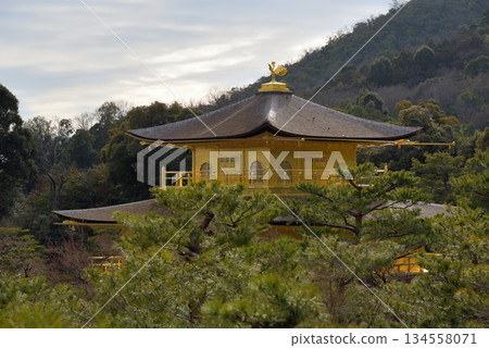 Kinkakuji temple Golden Pavillion, UNESCO world heritage site and Zen Buddhist temple in Kyoto, Japan 134558071