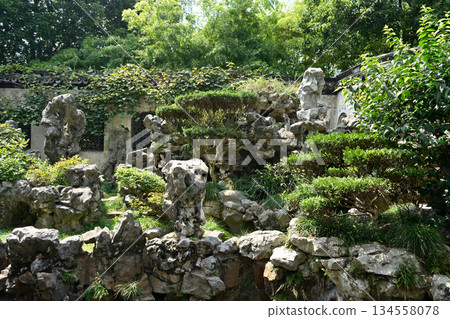 Yuyuan Chinese garden in the Old City of Shanghai, built in 1559 during Ming Dynasty in Shanghai, China Yuyuan Chinese garden in the Old City of Shanghai, built in 1559 during Ming Dynasty in Shanghai, China 134558078