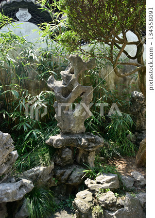 Yuyuan Chinese garden in the Old City of Shanghai, built in 1559 during Ming Dynasty in Shanghai, China 134558091
