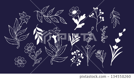 Outline Botanical plants, leaves and flower Doodle collection. Isolated Textured white hand drawing sketch on Blue. Vector illustration. Not AI 134558260