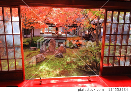 【京都】建仁寺本寺春庭（三庭）的秋葉 134558384