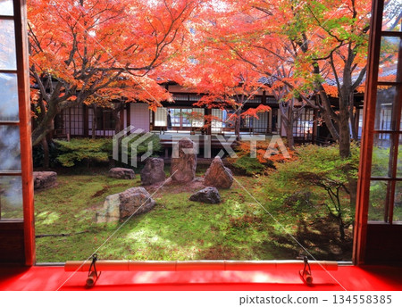 [Kyoto Prefecture] Autumn leaves at the Choon Garden (triple garden) of the main temple of Kenninji Temple 134558385
